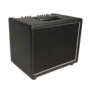 Custom Grand 60Watt Acoustic Guitar Combo Amplifier with Effects in Black Color AER Compact T60 Style