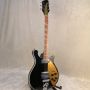 Custom Grand 6+12 Strings 660 Electric Guitar with Rosewood Fingerboard Gloss Finishing