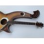 Custom 6/6/8 Strings Acoustic Electric Double Neck Guitar, Harp Guitar