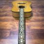 Custom Gold Phoebe Pro Vintage Dreadnought Masterpiece Solid Acoustic Guitar Bone nut, bridge saddle, and pins; round frets