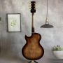 Custom Vintage Burst Flamed Maple Top Byrdland Electric Guitar with Gold Hardware HH Pickups