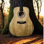 Custom High-End Deluxe Gold Phoebe Handcrafted All Solid Vintage Dreadnought Acoustic Guitar
