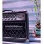 2025 HOT Dumble Tone 002 Version SSS20-Steel String Singer SSS Tube Amp Head 20Watt in Black with Original Knobs