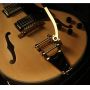 Custom NEW 6 Strings Semi Hollow Body Brydland Electric Guitar GB Style