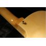 Custom NEW 6 Strings Semi Hollow Body Brydland Electric Guitar GB Style