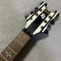 Custom Schecter Style Synyster Gates Signature 
