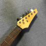 Custom 24 Frets 6 Strings Electric Guitar Mahogany Body