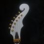 Custom Handcrafted Angel Beauty Girl Electric Guitar with Rose Inlay Body Abalone Flower Inlay Fretboard Gold Tremolo Bridge Whammy Bar
