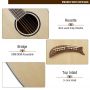 HOT SELLING 2026 New Patent Custom 6+6 12 Strings Double Neck Harp Acoustic Guitar, Both Harp and Guitar can Tune Up